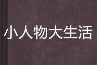 大生活小说原著评价 大生活小说阅读