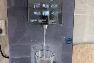 王牌生活净水器wp-a1多少钱一台（王牌净水器价格查询）