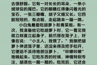 我眼中的生活是什么 我眼中的生活是什么一段话