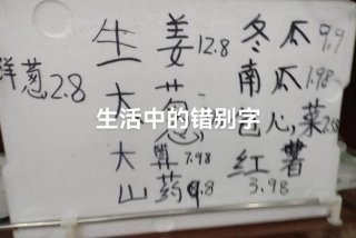 生活中的文字现象、生活中的文字现象视频