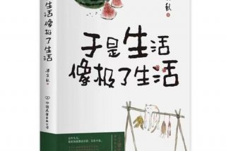 大生活小说推荐、大生活原著