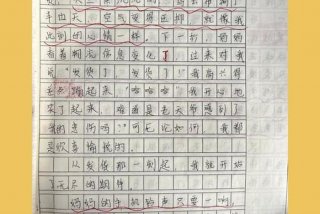 对生活的期待有哪些 对生活的期待作文