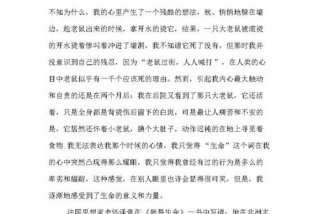 敬畏生活,热爱生活 热爱生活敬畏生命作文初中版