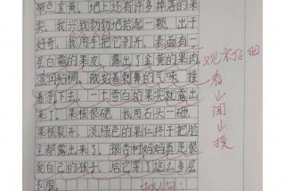 我眼中的生活作文550字（我眼中的生活作文550字左右）