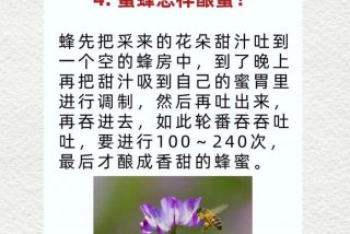 生活小常识视频! - 科普小知识视频