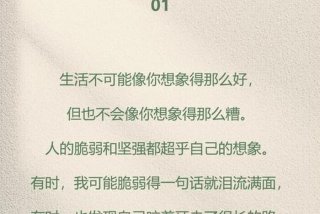 生活教会了我坚强的句子 - 生活教会了我坚强歌词