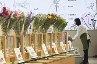 嘉好生活苹果手机下载、嘉好生活苹果手机下载安装