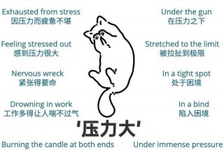 生活压力翻译，生活压力翻译成英文