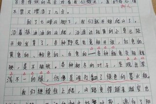 生活方式的变化与融合（生活方式变化作文）