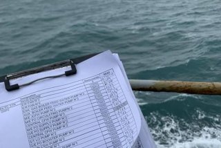 海员的生活乱不乱（海员的生活条件怎么样）