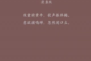 所见生活，所见所领 都是生活