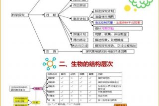 生物与生活的关系图（生物和生活的联系）
