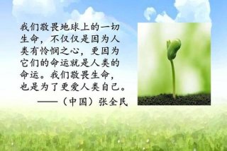 敬畏生活,敬畏生命 - 敬畏生活,敬畏生命的意思