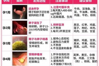 孕早期生活对胎儿有什么影响（怀孕早期生活应注意什么时候）
