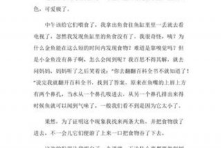 生活中的发现作文四年级，生活中的发现作文四年级上册