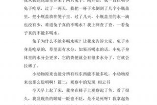 生活中的发现作文400字四年级，生活中的发现作文450