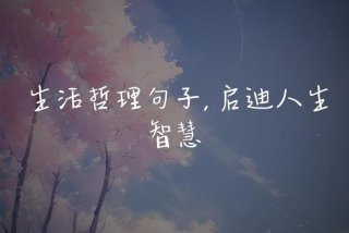 生活与智慧短句、生活智慧短句子