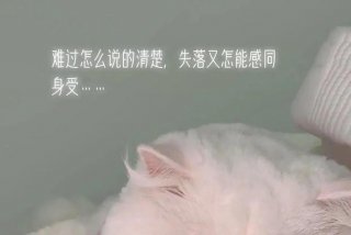 对生活的理解不一样，你对生活的理解是什么意思