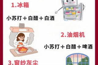 生活大妙招节目（生活妙招节目的开场白）