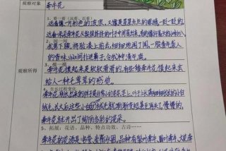 生活观察记录100篇简短，生活观察表