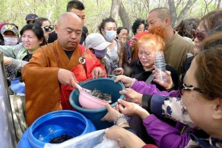 放生活动流程 放生仪式流程