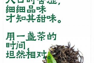 生活与茶甘苦并重是什么意思，生活跟茶一样