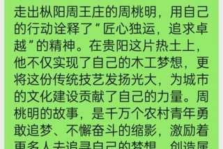 木匠生活逆袭记 木匠人生