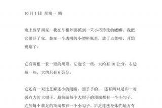 观察生活日记300字；观察生活日志