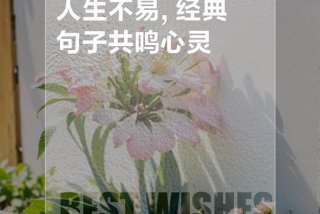 生活来之不易幸福源于珍惜、幸福生活是来之不易的