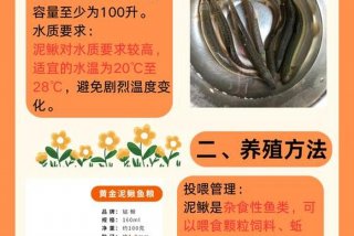 泥鳅生活习性和养殖方法，泥鳅养殖条件 新闻