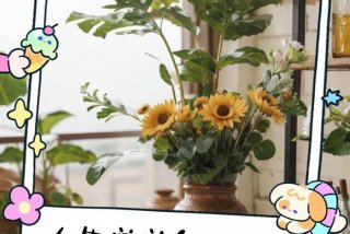 采集生活点滴 采集生活点滴的句子