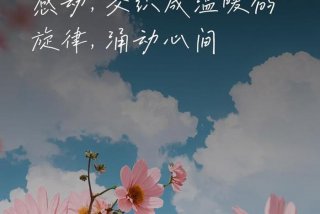 生活小惊喜唯美的句子；生活小惊喜的感悟