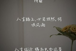 生活经典语句简短（生活经典语录太经典了）