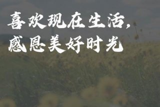 喜欢现在的生活怎么表达，喜欢现在的生活怎么表达心情