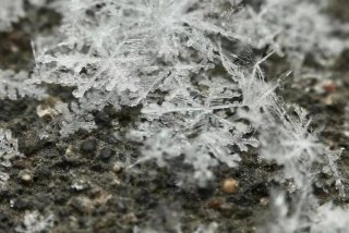 生活中的结晶现象、生活中的结晶现象是什么