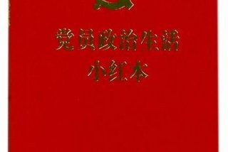 党员政治生活小红本（党员政治生活记录本如何记录）