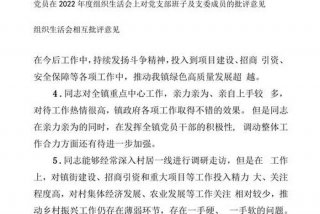 党支部生活会，党支部生活会对支委的意见