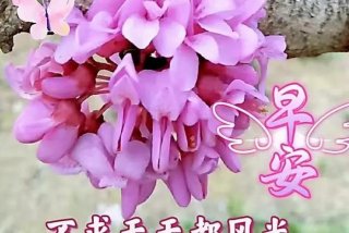 早安生活不简单尽量简单过；生活简而不单,早安