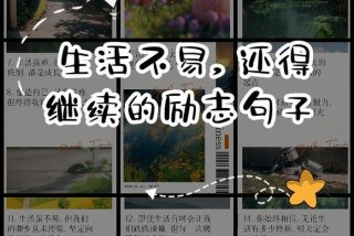 生活经典语句摘抄（生活类经典语录）