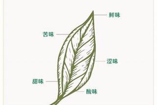 生活五味；生活五味是哪五味