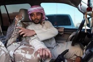 土豪的生活是什么意思，土豪的日常生活视频