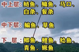 生活是水工作是鱼（生活是水我是鱼）