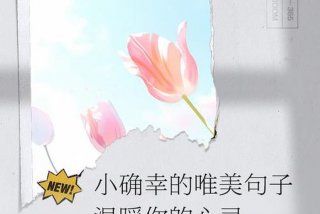 生活中的小确幸的唯美句子；生活中的小确幸的唯美句子图片