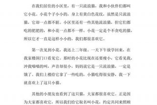 流浪猫的生活作文（关于流浪猫的作文怎么写300）