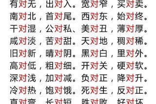 生活反义词最佳答案（生活的反义词是什么 标准答案）