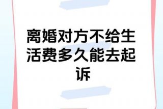 老公不给生活费可以起诉离婚吗 老公不给生活费可以起诉离婚吗怎么办