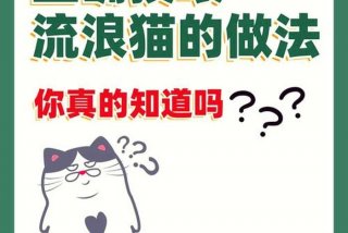 流浪猫的生活状态、流浪猫怎么生活方式
