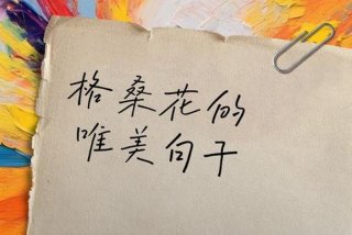 生活日常说说,格桑花（格桑花的花语说说）