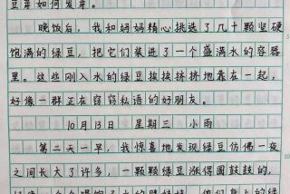 观察生活日记作文（观察生活记录生活作文）