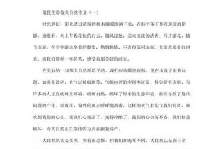 敬畏生活经典语录 敬畏生活的作文